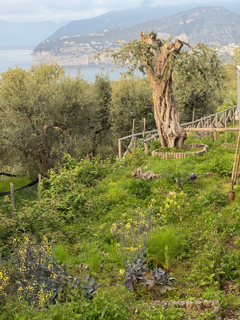 Scenes around the hotel...